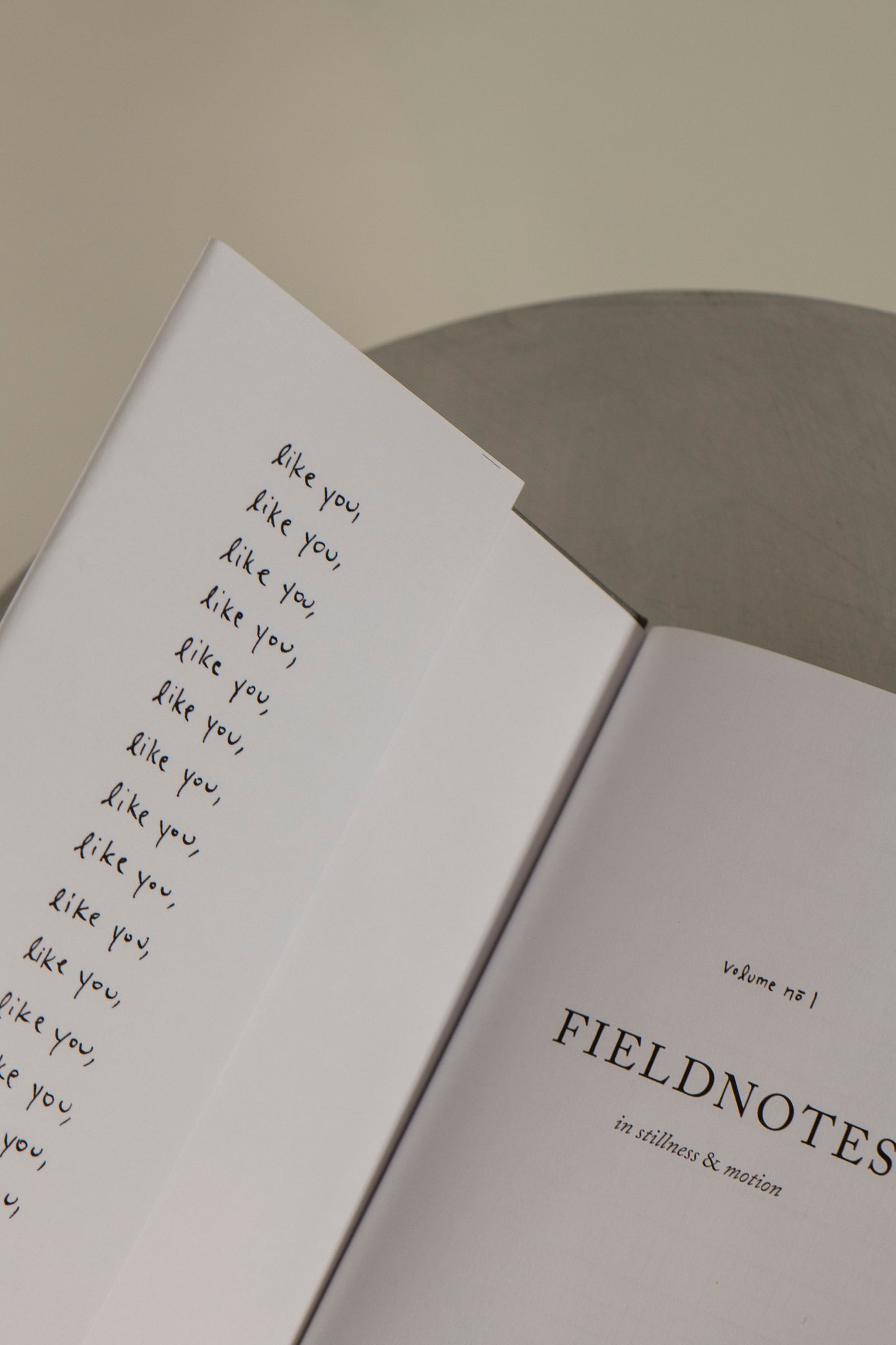 field notes : in stillness & motion